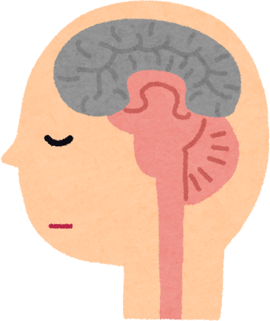 Illustration of the Brain in a Vegetative State